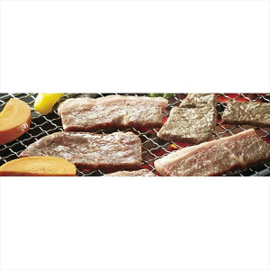  sE^ Yјaēp KBY-700 S ΕMtg  Ε2025 䌩   OXC[c