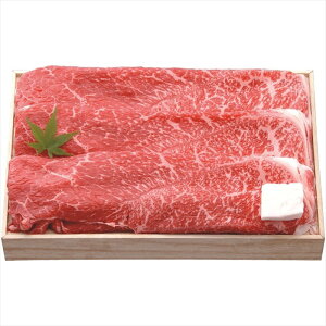  琬 ߍ]ĂiEoj SNT-909 S ΕMtg  Ε2025 䌩   OXC[c