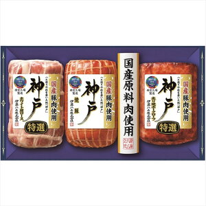  ɓn _˃Mtg IKE-4 S ΕMtg  Ε2025 䌩   OXC[c