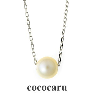 lbNX v`i850 ꗱ Wp[ iۏ؏ AM[ {  v[g Mtg NX}X Ǝ w   j