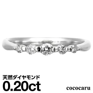 v`i O Pt900 t@bVO VR_C _ChO iۏ؏ AM[ {  WG[ v[g Mtg NX}X Ǝ w  