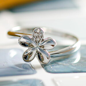 zCgS[h O K18 CG[S[h zCgS[h sNS[h t@bVO VR_C _Ch O iۏ؏ AM[ {  WG