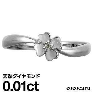 _ChO Vo[925 Vo[O t@bVO VR_C _Ch O iۏ؏ AM[ {  WG[ v[g Mtg NX}