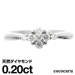 v`i O Pt900 t@bVO VR_C _Ch O iۏ؏ AM[ {  WG[ v[g Mtg NX}X Ǝ w  