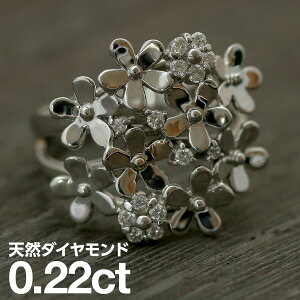 v`i O Pt900 t@bVO VR_C _ChO iۏ؏ AM[ {  WG[ v[g Mtg NX}X Ǝ w  