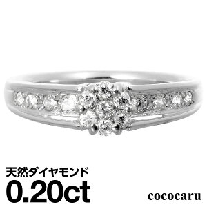 v`i O Pt900 t@bVO VR_C _ChO iۏ؏ AM[ {  WG[ v[g Mtg NX}X Ǝ w  