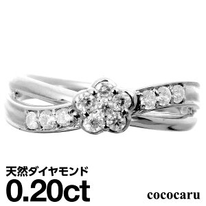 v`i O Pt900 t@bVO VR_C _ChO iۏ؏ AM[ {  WG[ v[g Mtg NX}X Ǝ w  