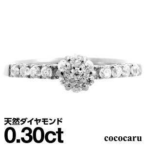 v`i O Pt900 t@bVO VR_C _ChO iۏ؏ AM[ {  WG[ v[g Mtg NX}X Ǝ w  