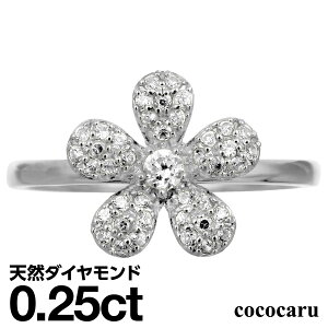 pF _Ch O Vo[925 Vo[O t@bVO VR_C _ChO iۏ؏ AM[ {  WG[ v[g Mtg N