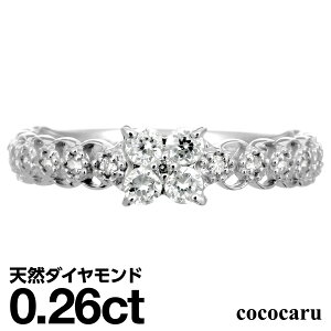 zCgS[h O K18 CG[S[h zCgS[h sNS[h t@bVO VR_C _ChO iۏ؏ AM[ {  WG