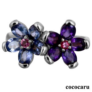 AWXg ACICg sNg} O K18 CG[S[h zCgS[h sNS[h t@bVO {  WG[ v[g Mtg NX}X 