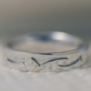 n O Vo[925 Vo[O nO t@bVO iۏ؏ AM[ {  WG[ v[g Mtg NX}X Ǝ w  