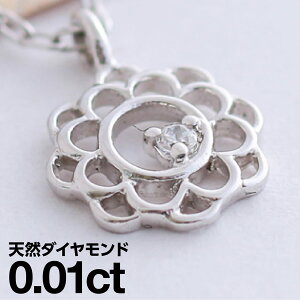 _Ch lbNX v`i900 ꗱ VR_C iۏ؏ AM[ {  WG[ v[g Mtg NX}X Ǝ w   j