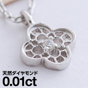 _Ch lbNX v`i900 ꗱ VR_C iۏ؏ AM[ {  WG[ v[g Mtg NX}X Ǝ w   j