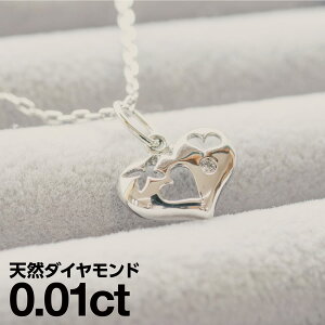 _Ch lbNX v`i900 ꗱ VR_C iۏ؏ AM[ {  WG[ v[g Mtg NX}X Ǝ w   j