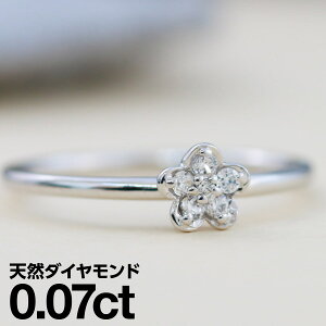 v`i O Pt900 t@bVO VR_C _Ch O iۏ؏ AM[ {  WG[ v[g Mtg NX}X Ǝ w  