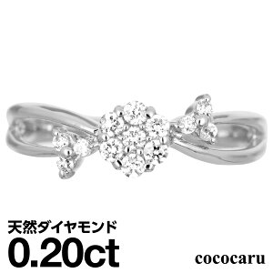 v`i O Pt900 t@bVO VR_C _ChO iۏ؏ AM[ {  WG[ v[g Mtg NX}X Ǝ w  