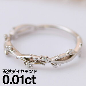 v`i O Pt900 t@bVO VR_C _ChO iۏ؏ AM[ {  WG[ v[g Mtg NX}X Ǝ w  