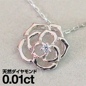 _Ch lbNX v`i900 ꗱ VR_C iۏ؏ AM[ {  WG[ v[g Mtg NX}X Ǝ w   j