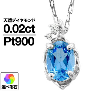 lbNX v`i900 IׂJ[Xg[ iۏ؏ AM[ {  WG[ v[g Mtg NX}X Ǝ w   j