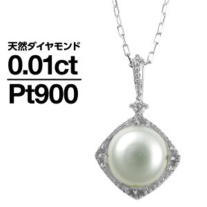 lbNX _Ch AR^ v`i900 VR_C iۏ؏ AM[ {  v[g Mtg NX}X Ǝ w   j