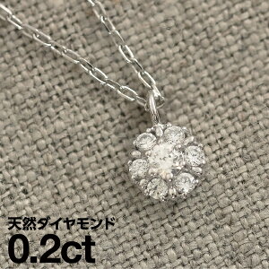 lbNX _Ch v`i900 VR_C iۏ؏ AM[ {  WG[ v[g Mtg NX}X Ǝ w   j