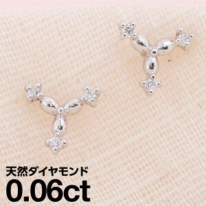 sAX AM[ _Ch v`i900 VR_C iۏ؏ {  WG[ v[g Mtg NX}X Ǝ w   j