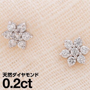 sAX AM[ _Ch v`i900 VR_C iۏ؏ {  WG[ v[g Mtg NX}X Ǝ w   j