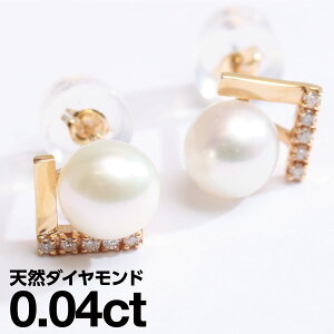 sAX AM[ _Ch Wp[ v`i900 VR_C iۏ؏ {  v[g Mtg NX}X Ǝ w   j