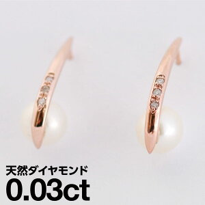 sAX AM[ _Ch Wp[ v`i900 iۏ؏ {  WG[ v[g Mtg NX}X Ǝ w   j