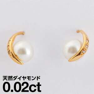 sAX AM[ _Ch Wp[ v`i900 iۏ؏ {  WG[ v[g Mtg NX}X Ǝ w   j