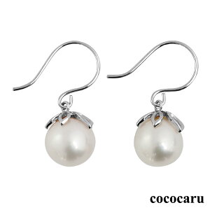 sAX AM[ _Ch Wp[ v`i900 VR_C iۏ؏ {  v[g Mtg NX}X Ǝ w   j