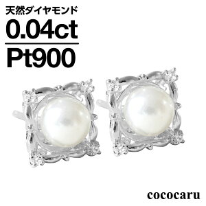 sAX AM[ _Ch Wp[ v`i900 VR_C iۏ؏ {  WG[ v[g Mtg NX}X Ǝ w   j