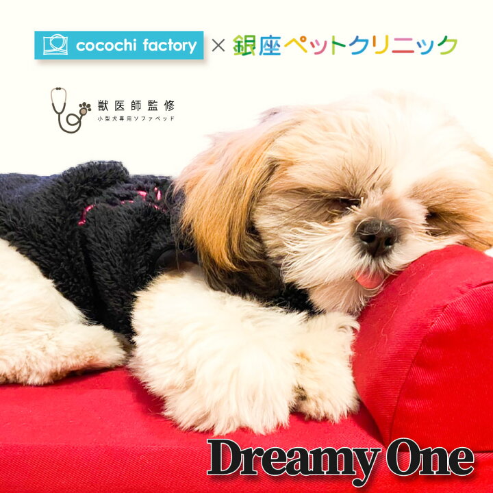 楽天市場 獣医師監修 小型犬専用ベッド Dreamy One Mサイズ 犬 ペット ベッド ペットベッド 犬用ベッド 小型犬 小型犬ベッド おしゃれ 高級 犬 ダメ に する ベッド トイプードル トイプードルベッド グッズ Mサイズ オールシーズン セレブ ギフト 早割 犬 Cocochi