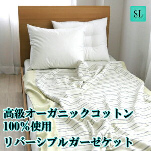 X[p[SALE28Ԍ|Cg10{ K[[Pbg I[KjbNRbg ĂK[[ Mі Ԃ xr[ ⊴ ėpzc zc 􂦂 xr[zc Ԃzc ks