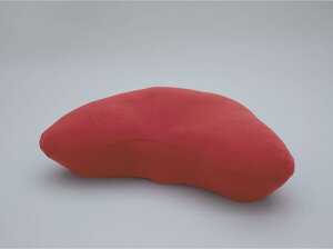 y50%OFFzYOKONEGU Ɉ? Jo[ gD[bh