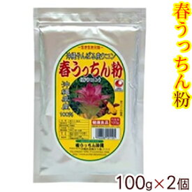 春うっちん粉 100g×2個　/沖縄産 春ウコン粉末 【M便】