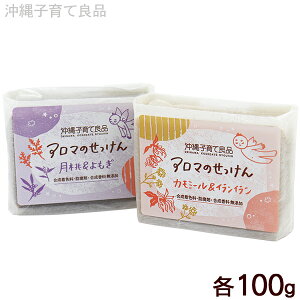 A}̂ 100g@/IׂΌ ΂ qėǕi