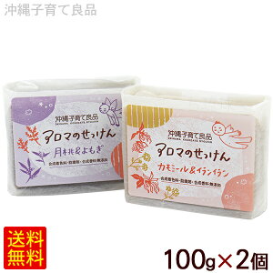 Iׂ A}̂ 100g×2Zbg@/Ό ΂ qėǕi yMցz