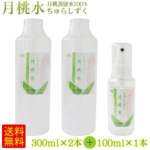  炵i300ml×2{j{i100ml×1{j@/100 Y ϐ yFSz