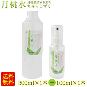  炵i300ml×1{j{i100ml×1{j@/100 Y ϐ yFSz