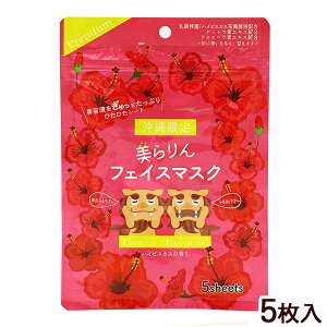 ������ �t�F�C�X�}�X�N �n�C�r�X�J�X�̍��� 5�����@/�t�F�C�X�}�X�N�V�[�g �p�b�N ���ꂨ�y�Y �G�� �yM�z