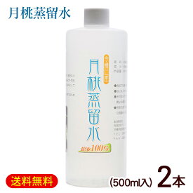 月桃水 月桃蒸留水 500ml×2本　/原液100％ 沖縄産 グリーンプラン新城 【小宅】