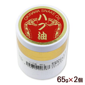 nu 65g@/Y ͂Ԗ p^Cv ㏤