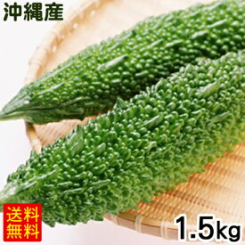 沖縄産 ゴーヤー 1.5kg　/ゴーヤ にがうり 沖縄野菜 生 冷蔵【FS】