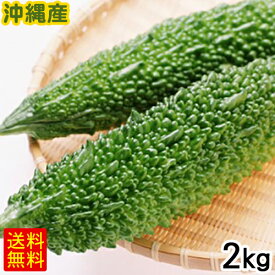 沖縄産 ゴーヤー 2kg　/ゴーヤ にがうり 沖縄野菜 生 【FS】