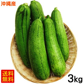 楽天市場 ヘチマ 野菜の通販