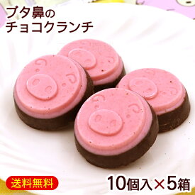 琉球あぶー ブタ鼻のチョコクランチ 10個入×5箱　/沖縄お土産 お菓子 南西産業 【FS】