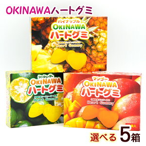 OKINAWAn[gO~ Iׂ5Zbgie10j@/pCibv }S[ V[N[T[ O~ ꂨyY َqyMցz