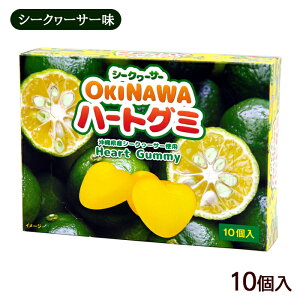 V[N[T[ OKINAWAn[gO~ 10@/ꂨyY َq